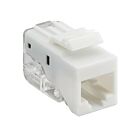 Keystone CAT5e UTP Connector - Sem ferramentas